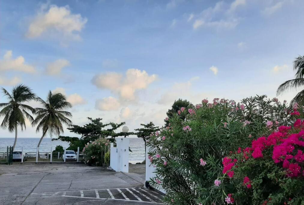 Superbe Studio, A 20 Metres De La Plage, Acces Direct Grande Plage Diamant Le Diamant Exterior photo