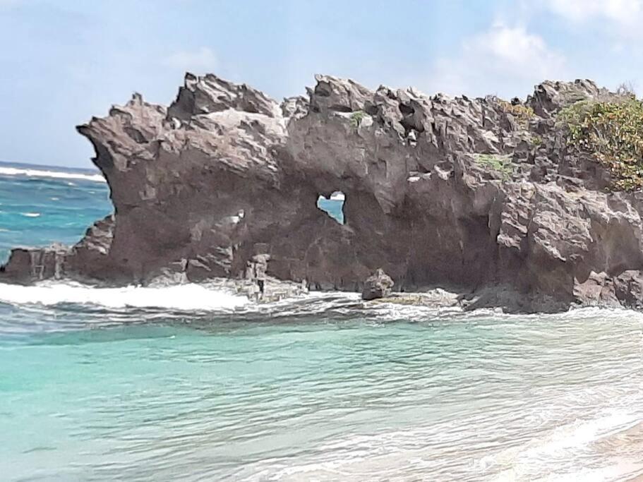Superbe Studio, A 20 Metres De La Plage, Acces Direct Grande Plage Diamant Le Diamant Exterior photo